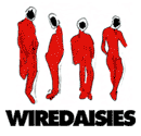 Wire Daisies in stores now!