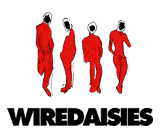 Wire Daisies in stores now!