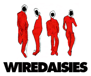 Wire Daisies in stores now!