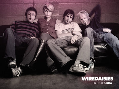 wire daisies - couch press picture